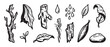 © Mr. Stocker - Hand-drawn collection of various forest and nature icons featuring a tree branch, leaves, bark, water droplets, and a rock, illustrated in a black and white doodle sketch style