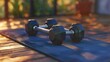 © Muhammad - A photo of a set of dumbbells on gym mats.