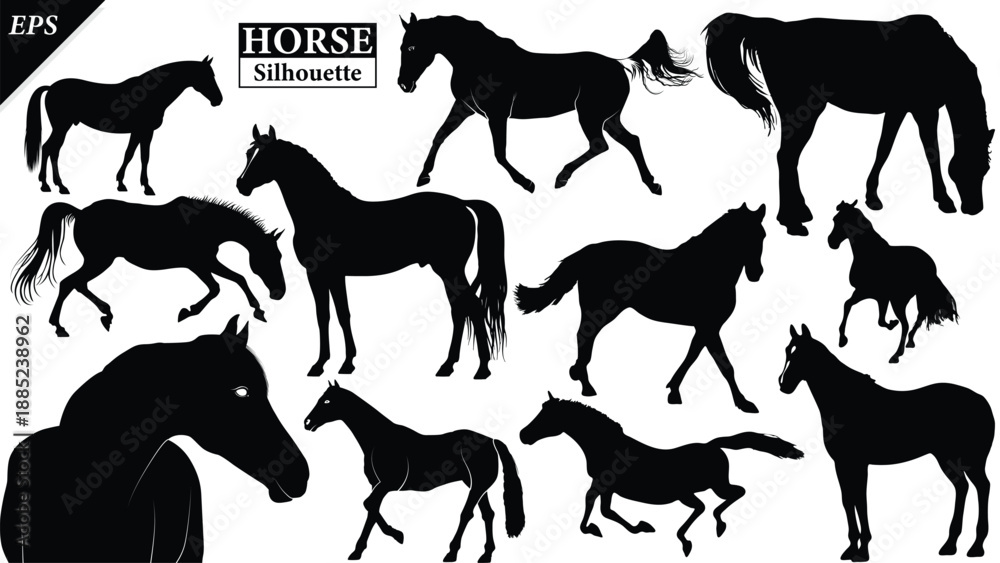 set of Horse Silhouette Vector Illustration in Black Color, Powerful Galloping Horses Animal Shape, Clean Editable Silhouette for Logo Design, Branding, T Shirt Print, Wall Art, Poster, Tattoo Stock 