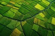 © ahmad - Aerial View of Lush Green Agricultural Fields Divided by a Winding River.