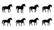 © RASHIDA - A row of black horse silhouettes depicting various gaits and poses silhouette