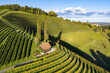 © AmazingAerialAgency - Aerial view of terraced vineyards cascade down the hillside, punctuated by a rustic building and tall trees, under a blue sky, Silberberg, Steiermark, Austria.