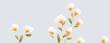 © ArtSpree - A white flower with yellow flowers on a blue background
