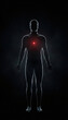 © Дмитрий Сирота - Human body silhouette with glowing heart highlight, cardiovascular concept 3D illustration