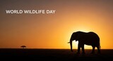 Majestic elephant silhouette walking across the African savanna at sunset, symbolizing a powerful World Wildlife Day conservation concept