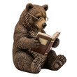 © sujan - Intellectual bear engrossed in reading a book isolated on transparent background