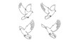 © Rayyan - Four distinct line drawings illustrate a dove in flight, showing various wing positions and angles against a white background to symbolize peace or spirit.