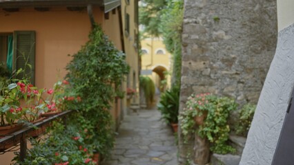  Narrow stone alley with potted plants, terracotta walls and distant archway, softly defocused bokeh alley; background backplate calm.
