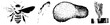 © Rysak - Four Black and White Vector Bee, Feather, Sponge, and Flowering Plant