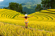 © ADDICTIVE STOCK - Woman embracing the beauty of Mu Cang Chai rice terraces