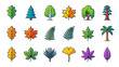 © Anik - Vibrant flat vector icon set featuring various forest trees and botanical leaves. Includes oak, maple, pine, palm, birch, willow, ginkgo, and fern elements on a clean white background.