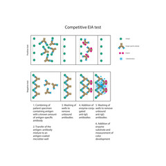  Competitive EIA test diagram showing antigen–antibody competition, enzyme-linked detection, positive and negative results, and inverse color–antigen relationship