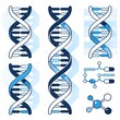 © Sadia - A diverse collection of DNA double helix strands and molecular structures.
