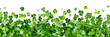 © Delphotostock - Falling shamrocks, flying green clovers leaves isolated on white or transparent panoramic background. St Patrick's day celebration web banner