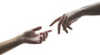 © BOTAHRY DEX - Two hands reaching for each other in a gesture. Isolated on transparent background, png