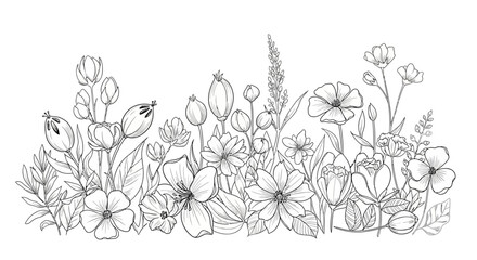  Black and white line drawing of various flowers and plants.