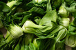 © DAVID - A top down view of a pile of shanghai bok choy, as a background.