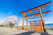 © Kinapi - 浮羽稲荷神社の鳥居とサクラ