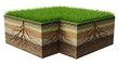 © lananh - A detailed 3D rendering clearly shows a vibrant green grass cross section with healthy roots and distinct soil layers.. AI Generated
