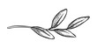 © NadyaSaen  - Tiny twig with leaves sketch drawing. Realistic hand drawn vector illustration with fine graphic texture. Perfect for outline card design. Ideal for floral decor and botanical nature artwork.