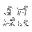 © MdZulhash - Dogs wearing hats in various poses