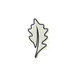 © SUPERGHONAM - oak leaf logo design vector template