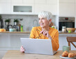 © Lumos sp - Portrait of a mature senior woman a businesswoman working from home having a meeting online, home office, or a student learning, or mature woman surfing net shopping or reading