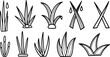 © GMZ - Black and white line art set of diverse aloe and agave succulent plants arranged in simple isolated icons collection