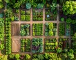 © luar - Aerial view of a vibrant and organized garden with various plants