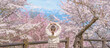 © Jo Panuwat D - Woman tourist sightseeing Sakura Cherry Blossom in Spring, happy traveler travel in Tendo Park or Maizuru Park in Yamagata prefecture, Tohoku, Japan. famous Landmark for Travel and Vacation