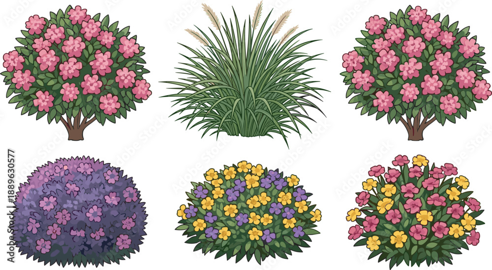 Set of six stylized garden bush illustrations featuring pink flowering shrubs purple and yellow flower mounds and ornamental pampas grass for spring landscape design assets.