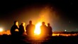 © tashechka - People sit together around a bright bonfire on the beach at night