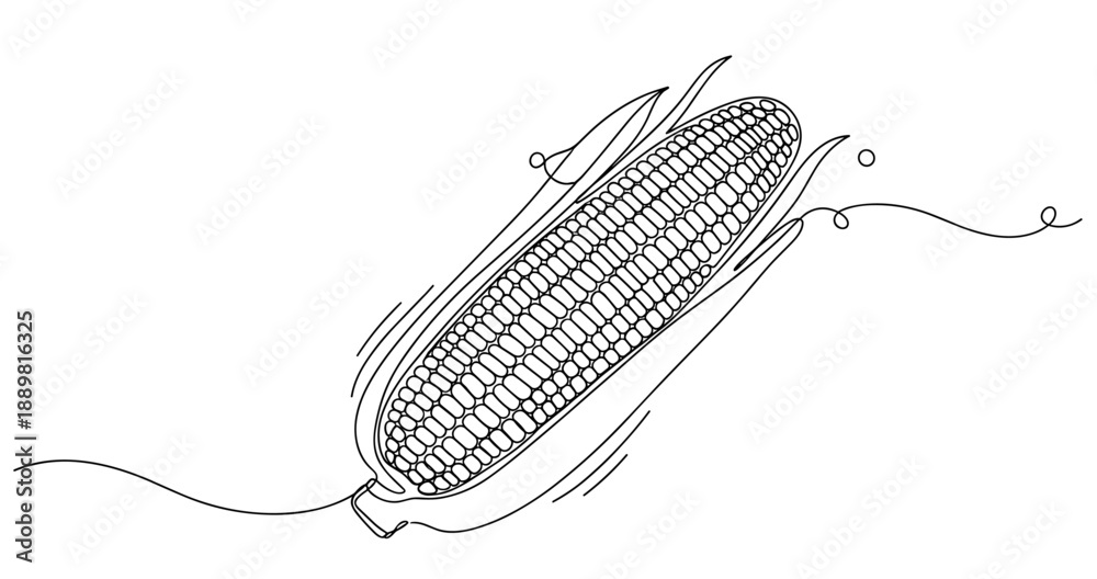 Hand-drawn corn on the cob illustration with husk and kernels in black and white. Non editable stroke