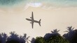 © Shades3d - Airplane flying over tropical beach with palm trees