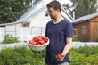 © Chebotaeva Ekaterina - A man in a dark T-shirt is standing in front of his garden with a plastic basin filled with red peppers. A young man with glasses is holding out a red pepper.