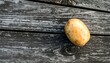 © Sarop - A single, unpeeled starchy vegetable sits atop weathered, grey wooden planks. The focus is sharp on the tuber, with light and shadow adding depth