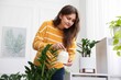 © New Africa - Woman watering beautiful potted houseplant at home