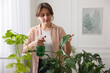 © New Africa - Woman spraying beautiful potted houseplant with water indoors, space for text