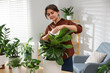 © New Africa - Woman wiping beautiful houseplant leaf at home