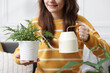 © New Africa - Woman watering beautiful potted houseplant at home, closeup
