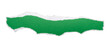 © Sewupari Studio - Torn green paper strip banner with rough edges, isolated on transparent background