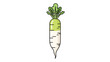 © Arsaka  Saka - Vibrant daikon radish illustration, a healthy and fresh vegetable graphic element.