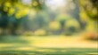 © 锴 张 - Abstract blurred green nature background with soft bokeh light, defocused trees in summer park, natural sunlight rays, spring freshness, copy space backdrop for wallpaper and web design