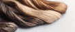 © Hot - Natural hair extension strands displayed in neutral tones, clean background, focus on texture and quality, beauty supply and salon industry concept