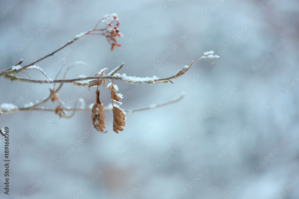 LAGO DI BRAIES, ITALY – 23 JANUARY 2026: Selection of winter scenes ...