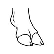 © Fahmida - Cloven hoof