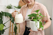 © New Africa - Woman watering beautiful potted houseplant at home, closeup