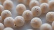 © STUDIO MELANGE - A close-up selective focus photograph of a group of spherical objects which