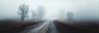 © Tanakrit - A foggy road disappears into the distance, framed by shadowy trees, creating a mysterious and serene atmosphere.