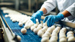 © Anoo - Worker in blue gloves scrubs raw chicken eggs on conveyor belt in food processing factory. Focus on cleanliness and quality in egg production line
